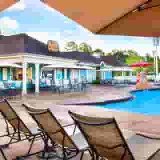 Disney's Saratoga Springs Resort & Spa, 2 of 5