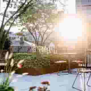 THE FLAG West M., 4 of 5