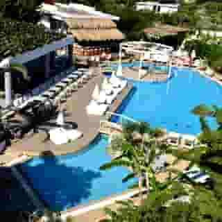 Palm Beach - Adult Only, 2 of 5