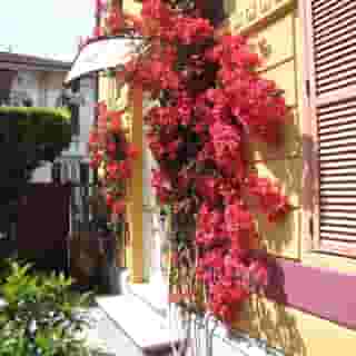 Bella Addormentata E Il Principe Calaf, 2 of 5