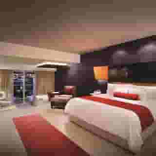 Hard Rock Hotel & Casino Punta Cana, 6 of 6