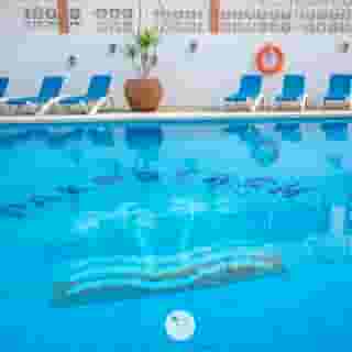 Palm Beach Apartments, 5 of 5