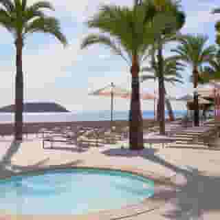 Melia Calvia Beach, 4 of 5