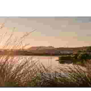 L'and Vineyards, 2 of 5