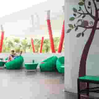 Samui Verticolor, 1 of 5