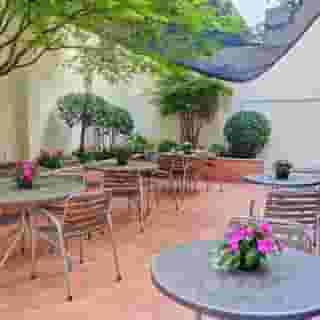 Hotel Franklin feel the sound, 1 of 5