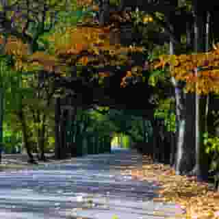 Van der Valk Hotel de Bilt - Utrecht, 1 of 5