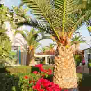 Cretan Garden Hotel - Adults Only, 4 of 5