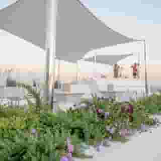 Canaves Sunday, 5 of 5