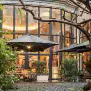 The Dominican, 2 of 5