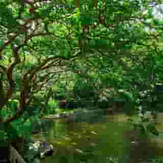 The Prince Sakura Tower Tokyo,Autograph Collection, 1 of 5