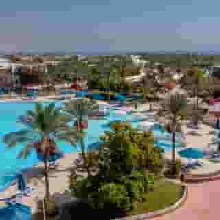 Desert Rose Resort, 3 of 5