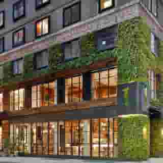 1 Hotel Central Park, 1 of 5