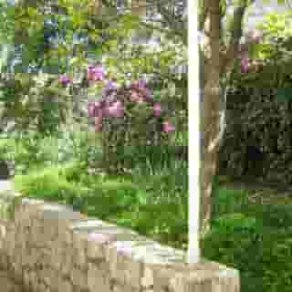 Apartments Ivica, 4 of 5