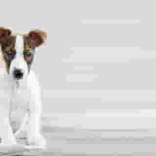 Hyatt House Dallas/Lincoln Park, 4 of 5