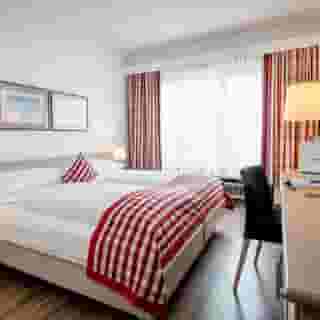 Imlauer & Brau, 3 of 5