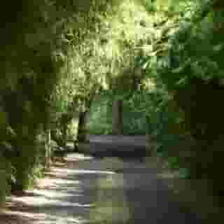 The Pavilions Bali, 2 of 5