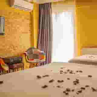 Galata Istanbul, 4 of 5