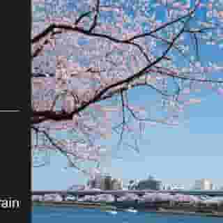 Tokyu Stay Yotsuya, 3 of 5