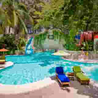 Grand Oasis Palm, 5 of 5