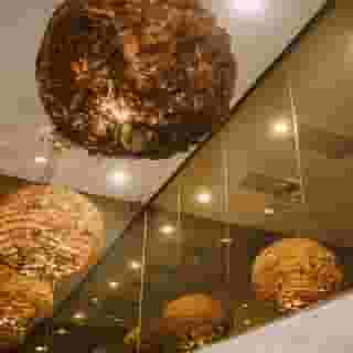 Best Western Plus Sthlm Bromma, 5 of 5