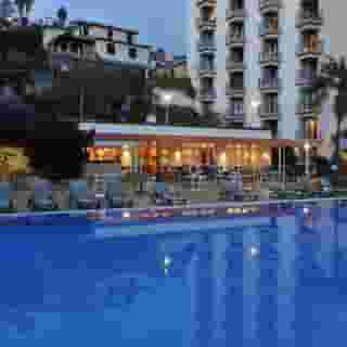 Dorisol Mimosa, 1 of 5