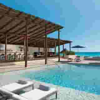 Secrets The Vine Cancun - Adults Only, 1 of 5