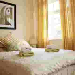 The Liver View, 3 of 5