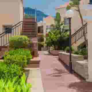 Yucca Park, 3 of 5