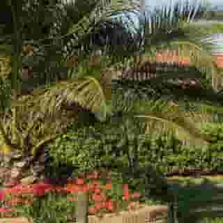 Fattoria Maremmana, 3 of 5