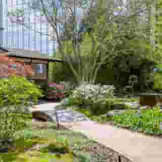 Grand Hyatt Atlanta In Buckhead, 2 of 5