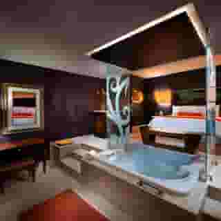 Hard Rock Hotel & Casino Punta Cana, 5 of 5