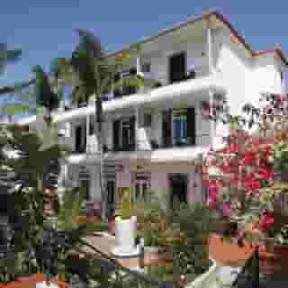 Flame Tree Madeira, 4 of 5