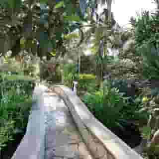 ONA Don Juan, 4 of 5