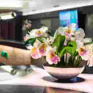 Metropol Hotel, 5 of 5