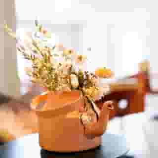 Stadsvilla Hotel Mozaic Den Haag, 1 of 5