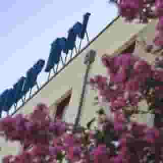 Tulip Inn Turin South, 4 of 5