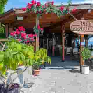 Garden Of Eden, 3 of 5