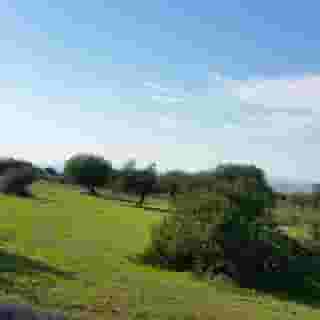 Casato Licitra, 3 of 5