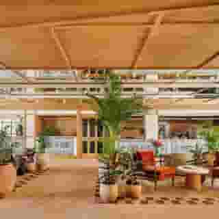 Locke De Santa Joana, 5 of 5