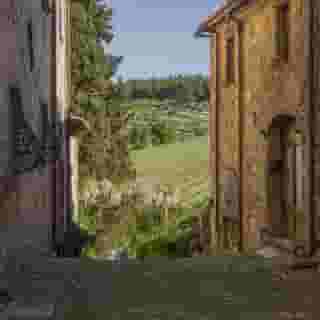 Castello di Fonterutoli, 5 of 5