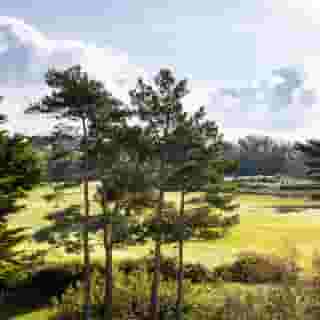 The Atlantic Hotel, 5 of 5