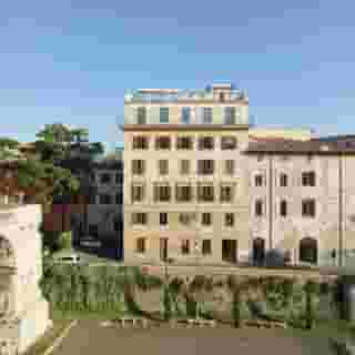 Rhinoceros Roma, 1 of 5