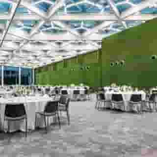 Andaz Condesa Mexico City, By Hyatt, 6 of 6