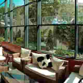 Impiq Hotel, 6 of 6