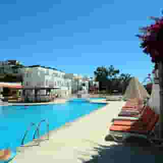 Club Pedalisa Apartments, 4 of 5