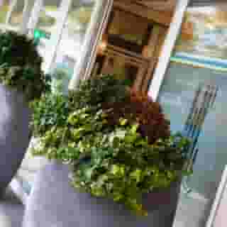 Sercotel Codina, 5 of 5