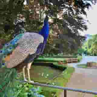 U Pava, 6 of 6