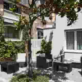 American Dinesen, 3 of 5