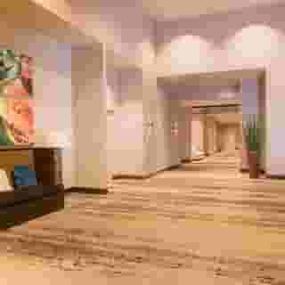 Sheraton Mesa Hotel at Wrigleyville West, 5 of 5